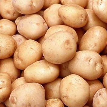 patates resimleri 